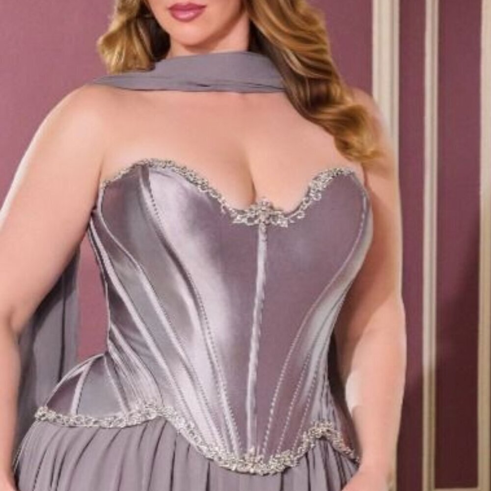 New Dark Silver Rhinestones Embellished Plus Size Gown w/ Corset Bodice CD668C - Picture 5 of 9